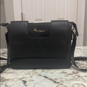 Foley & Carinna purse
